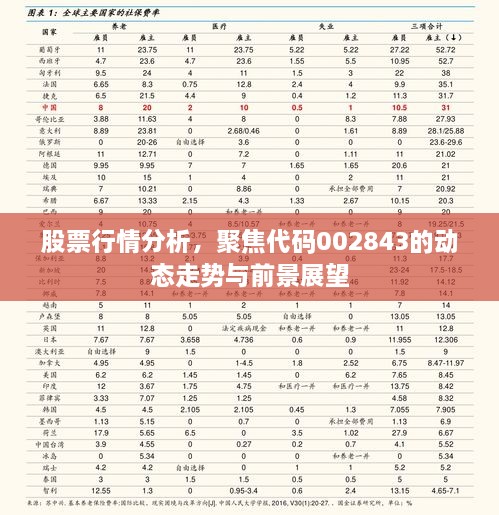 股票行情分析，聚焦代碼002843的動態(tài)走勢與前景展望