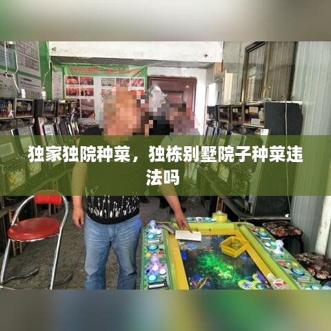 獨家獨院種菜，獨棟別墅院子種菜違法嗎 