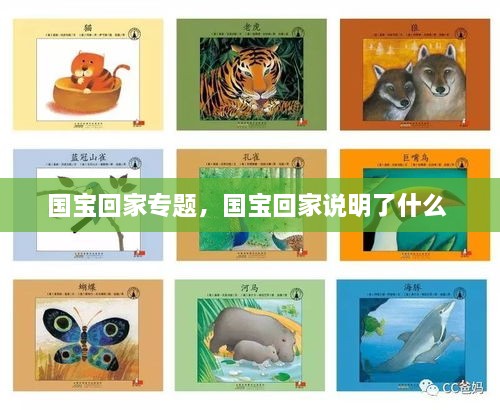 國寶回家專題，國寶回家說明了什么 