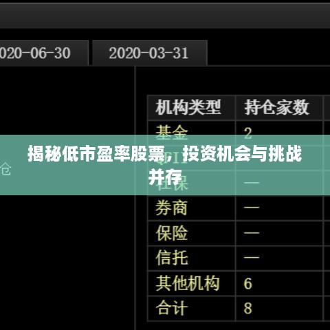 揭秘低市盈率股票，投資機(jī)會(huì)與挑戰(zhàn)并存