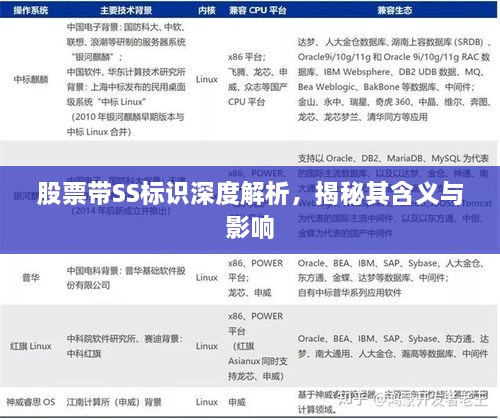 股票帶SS標(biāo)識(shí)深度解析，揭秘其含義與影響
