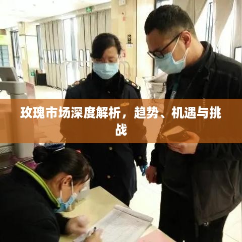 玫瑰市場(chǎng)深度解析，趨勢(shì)、機(jī)遇與挑戰(zhàn)