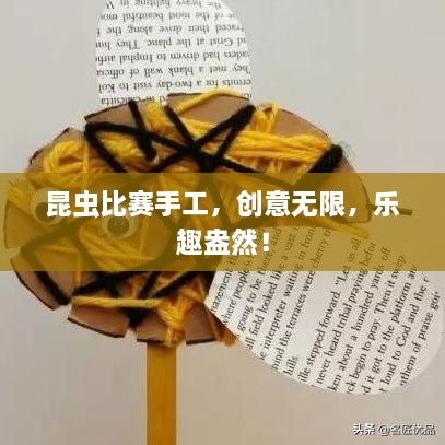 昆蟲比賽手工，創(chuàng)意無限，樂趣盎然！