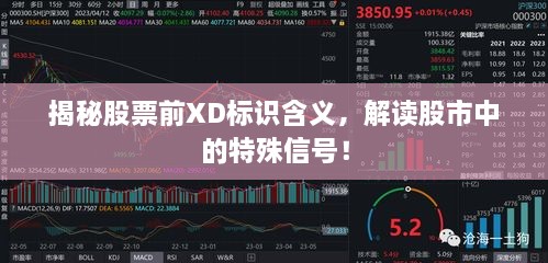 揭秘股票前XD標(biāo)識含義，解讀股市中的特殊信號！