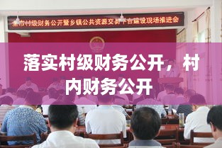 落實村級財務(wù)公開，村內(nèi)財務(wù)公開 