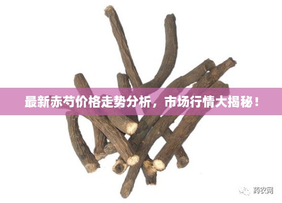 最新赤芍價格走勢分析，市場行情大揭秘！