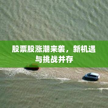 股票股漲潮來襲，新機遇與挑戰(zhàn)并存