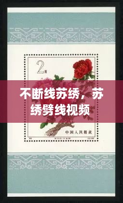 不斷線蘇繡，蘇繡劈線視頻 