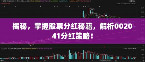 揭秘，掌握股票分紅秘籍，解析002041分紅策略！