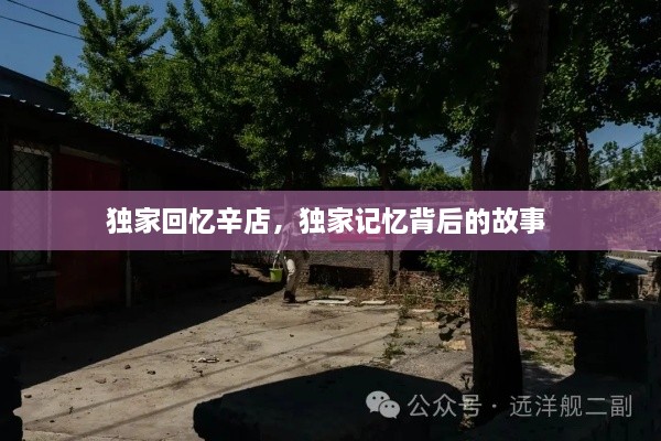 獨(dú)家回憶辛店，獨(dú)家記憶背后的故事 