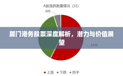 廈門港務(wù)股票深度解析，潛力與價值展望