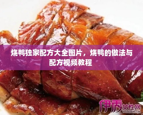 燒鴨獨(dú)家配方大全圖片，燒鴨的做法與配方視頻教程 