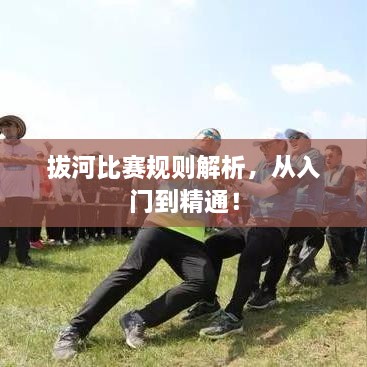 拔河比賽規(guī)則解析，從入門到精通！