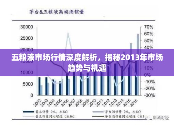 五糧液市場(chǎng)行情深度解析，揭秘2013年市場(chǎng)趨勢(shì)與機(jī)遇