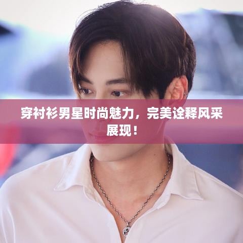 穿襯衫男星時尚魅力，完美詮釋風(fēng)采展現(xiàn)！