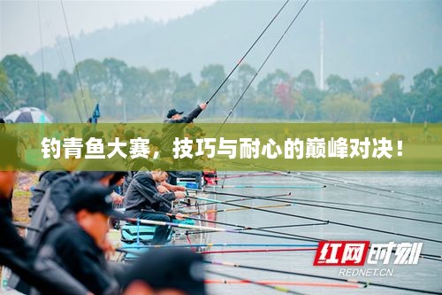 釣青魚大賽，技巧與耐心的巔峰對決！