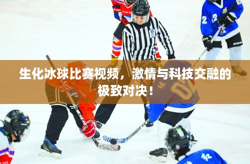 生化冰球比賽視頻，激情與科技交融的極致對(duì)決！