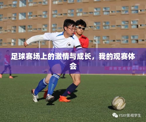 足球賽場上的激情與成長，我的觀賽體會