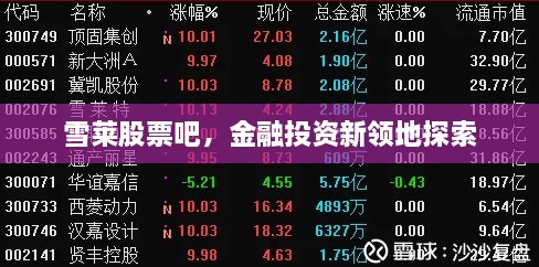 雪萊股票吧，金融投資新領(lǐng)地探索