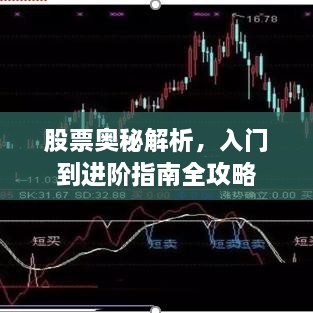 股票奧秘解析，入門到進(jìn)階指南全攻略