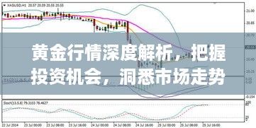 黃金行情深度解析，把握投資機(jī)會，洞悉市場走勢