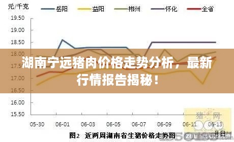 湖南寧遠(yuǎn)豬肉價格走勢分析，最新行情報告揭秘！