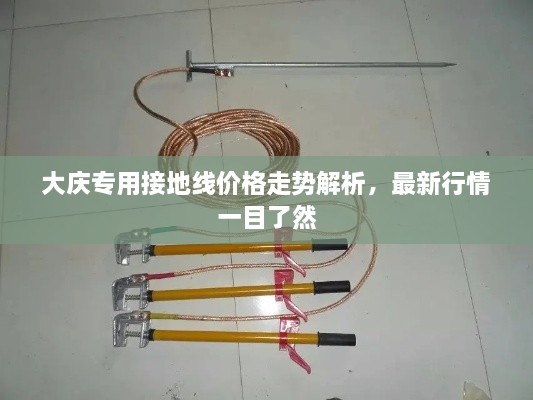 大慶專用接地線價格走勢解析，最新行情一目了然