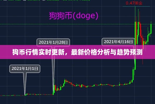 狗幣行情實(shí)時(shí)更新，最新價(jià)格分析與趨勢(shì)預(yù)測(cè)