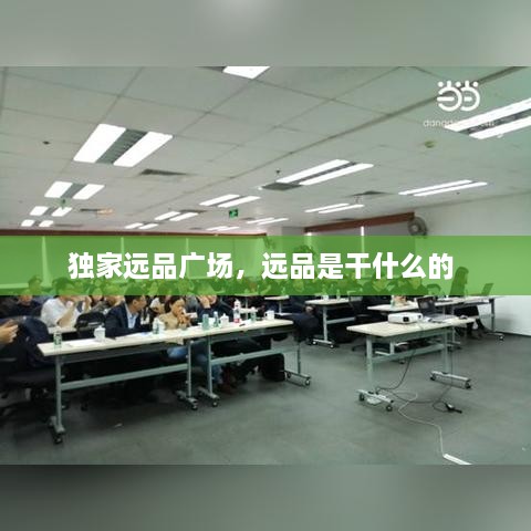 獨(dú)家遠(yuǎn)品廣場(chǎng)，遠(yuǎn)品是干什么的 