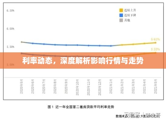 利率動態(tài)，深度解析影響行情與走勢