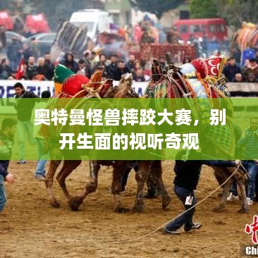 奧特曼怪獸摔跤大賽，別開(kāi)生面的視聽(tīng)奇觀