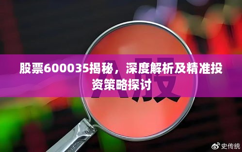 股票600035揭秘，深度解析及精準投資策略探討