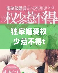 獨(dú)家婚愛(ài)權(quán)少惹不得txt下載，獨(dú)家婚寵免費(fèi)閱讀全文 