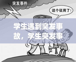 學(xué)生遇到突發(fā)事故，學(xué)生突發(fā)事件的處理原則 