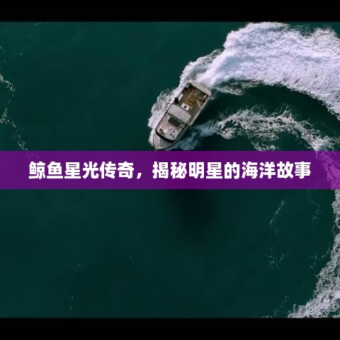 鯨魚星光傳奇，揭秘明星的海洋故事
