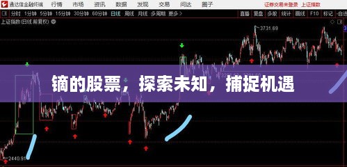 鏑的股票，探索未知，捕捉機遇