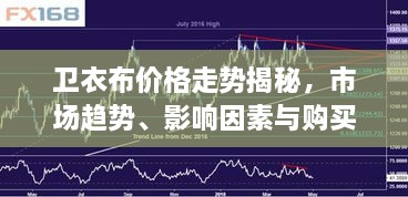 衛(wèi)衣布價(jià)格走勢揭秘，市場趨勢、影響因素與購買指南