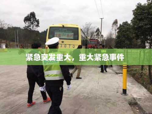 緊急突發(fā)重大，重大緊急事件 