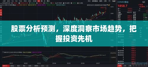 股票分析預(yù)測，深度洞察市場趨勢，把握投資先機(jī)