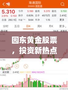 園東黃金股票，投資新熱點，財富新選擇