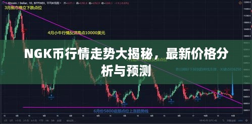 NGK幣行情走勢大揭秘，最新價格分析與預(yù)測