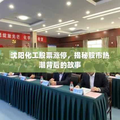 沈陽(yáng)化工股票漲停，揭秘股市熱潮背后的故事