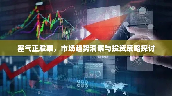 霍氣正股票，市場(chǎng)趨勢(shì)洞察與投資策略探討