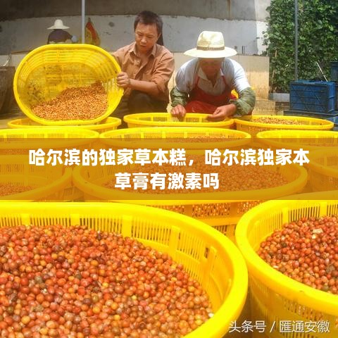 哈爾濱的獨家草本糕，哈爾濱獨家本草膏有激素嗎 