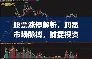 股票漲停解析，洞悉市場(chǎng)脈搏，捕捉投資黃金機(jī)會(huì)