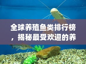 全球養(yǎng)殖魚類排行榜，揭秘最受歡迎的養(yǎng)殖魚類種類！