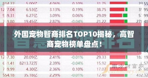 外國寵物智商排名TOP10揭秘，高智商寵物榜單盤點！