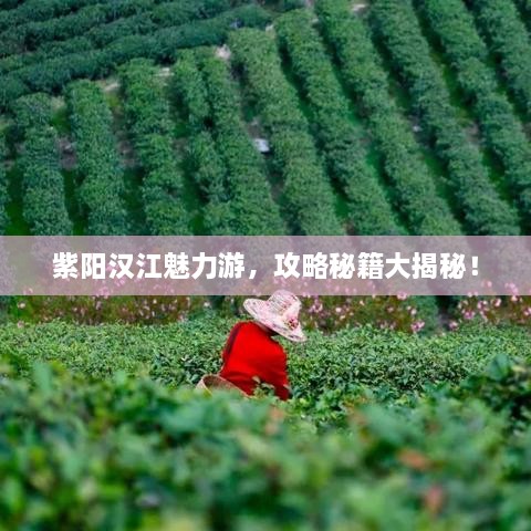 紫陽漢江魅力游，攻略秘籍大揭秘！
