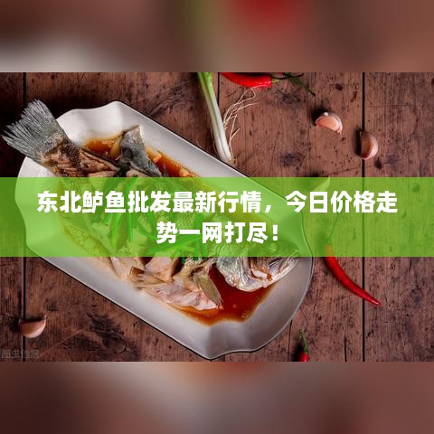 東北鱸魚批發(fā)最新行情，今日價(jià)格走勢(shì)一網(wǎng)打盡！