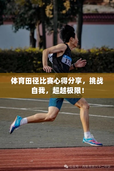 體育田徑比賽心得分享，挑戰(zhàn)自我，超越極限！